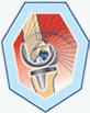 Logotyp oddziału Chirurgii Ortopedyczno-Urazowej